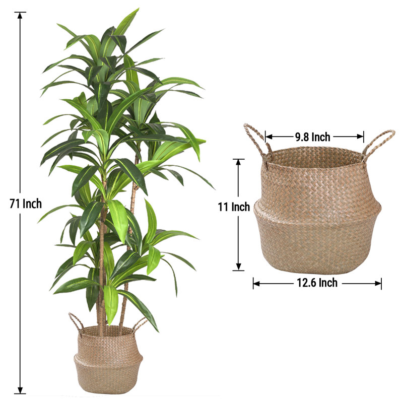 Pot à fleurs artificiel Dracaena, H 19,69 po x l 70,87 po x P 19,69 po