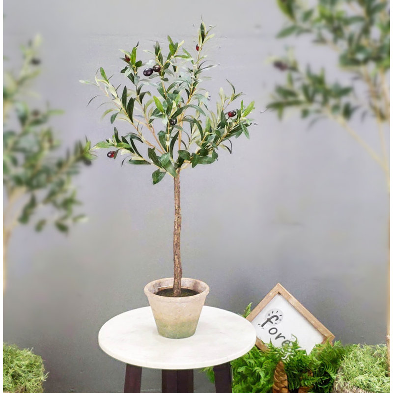 Faux Olive Tree for table top