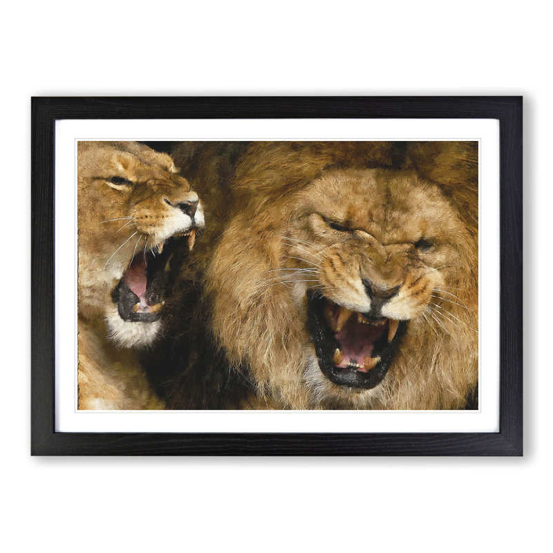 Two Lions - Framed Print, 36cm H x 48cm W x 2cm D, Black Framed