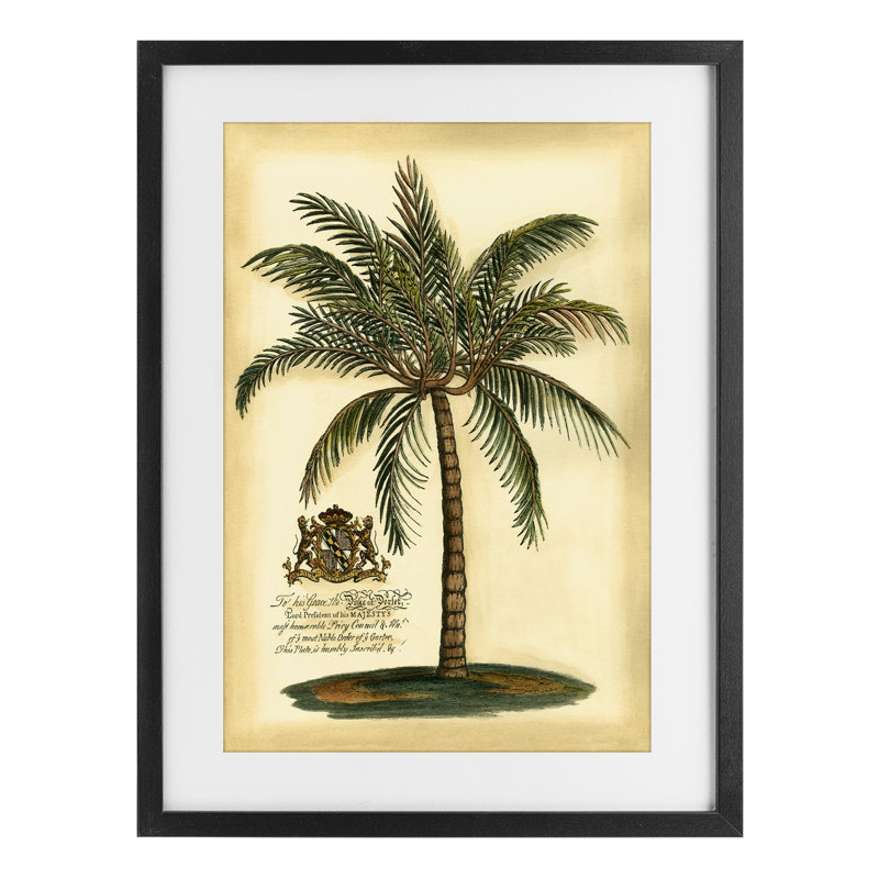 «British Colonial Palm», reproduction sous verre encadrée, conception par Vision Studio, H 23 po x l 17 po