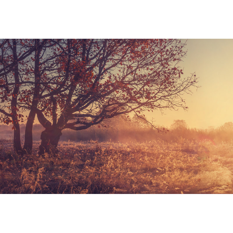 Autumn Nature Landscape by Dzmitrock87 - Wrapped Canvas Print, 30cm H x 46cm W x 3.8cm D