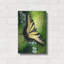 «Fragile Beauty» par Barbara Keith sur-780024347