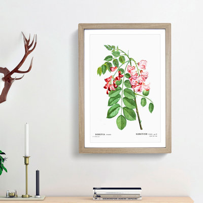 Robinier Rose Flowers by Pierre-Joseph Redoute - Picture Frame Painting Print