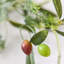 180cm Faux Garland