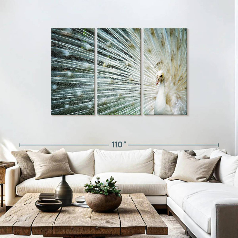 Brampt Icy White Peacock, 48" H x 74" W