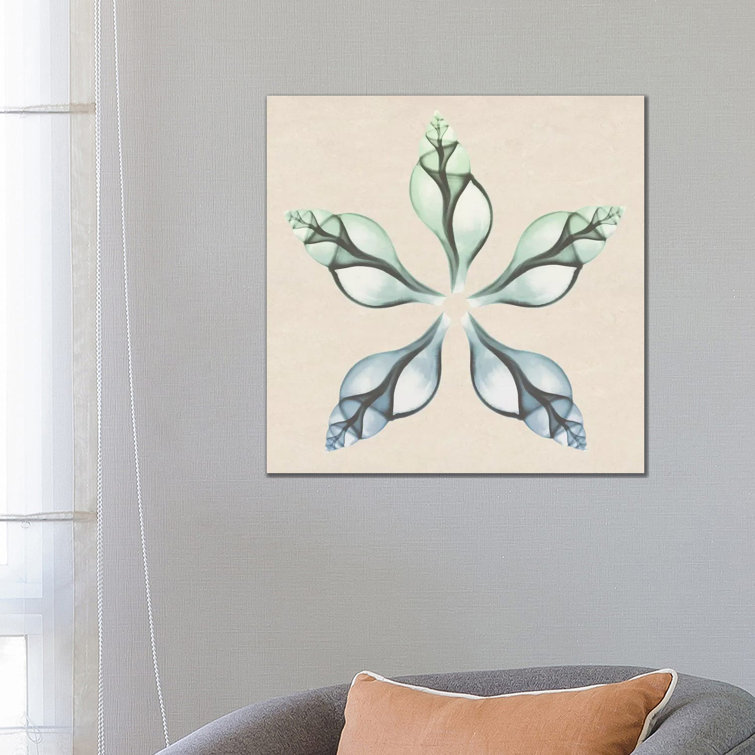 Seaside Star I by Albert Koetsier - Wrapped Canvas Graphic Art