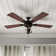 Glencrest 52" 5 Blade Damp Rated Ceiling Fan LED Light Kit Included