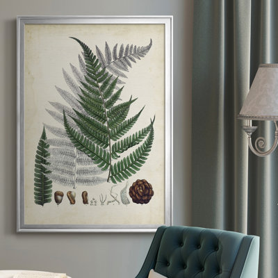 Collection Ferns II - reproduction d'art sur toile encadrée