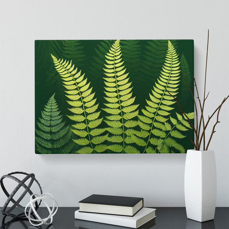 Pretty Fern Leaves - Wrapped Canvas Print, 35cm H x 50cm W x 3cm D