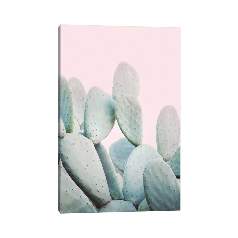 Pink Pastel Cactus by Sisi & Seb - Gallery-Wrapped Canvas Giclée on Canvas, Canvas, 20.32 cm H x 30.48 cm W