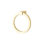 Ring Pull