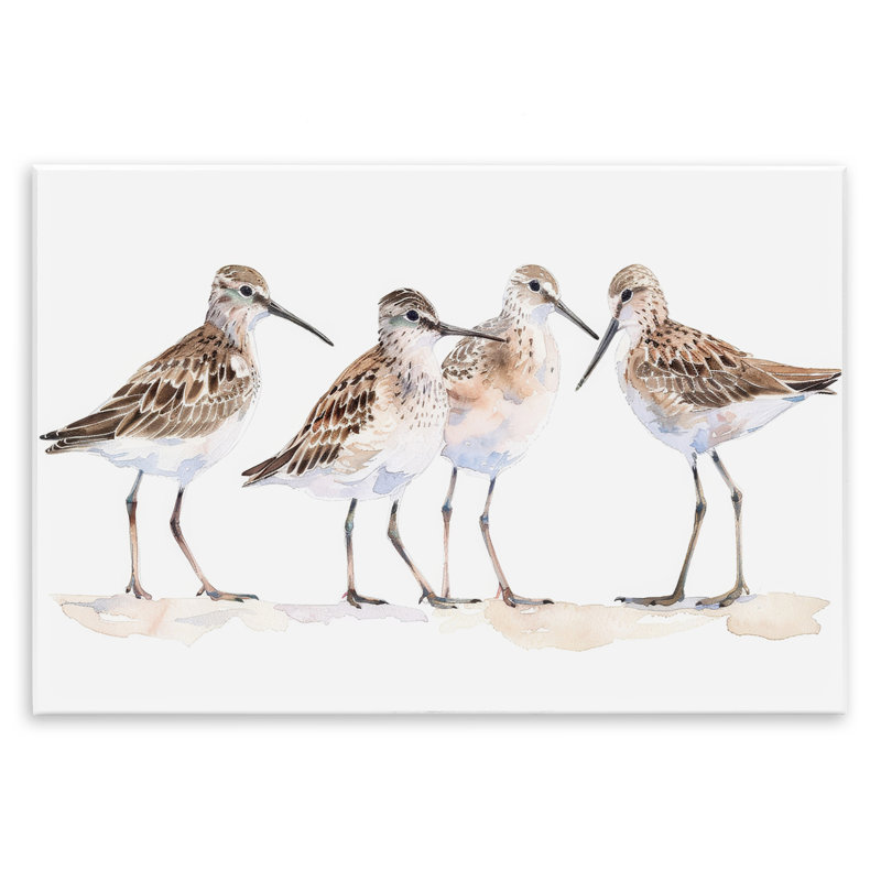  «Sand Pipers Gathered» par Petal Prints Design, H 10 po x l 15 po