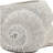 8.3x7x4.7" Decorative Sand and Cement Snail Planter with Textured Beige Finish