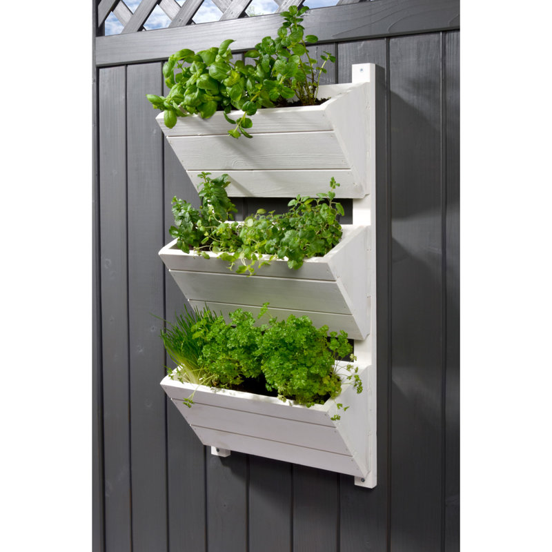 Aakanksha Handmade Wood Wall Planter, White
