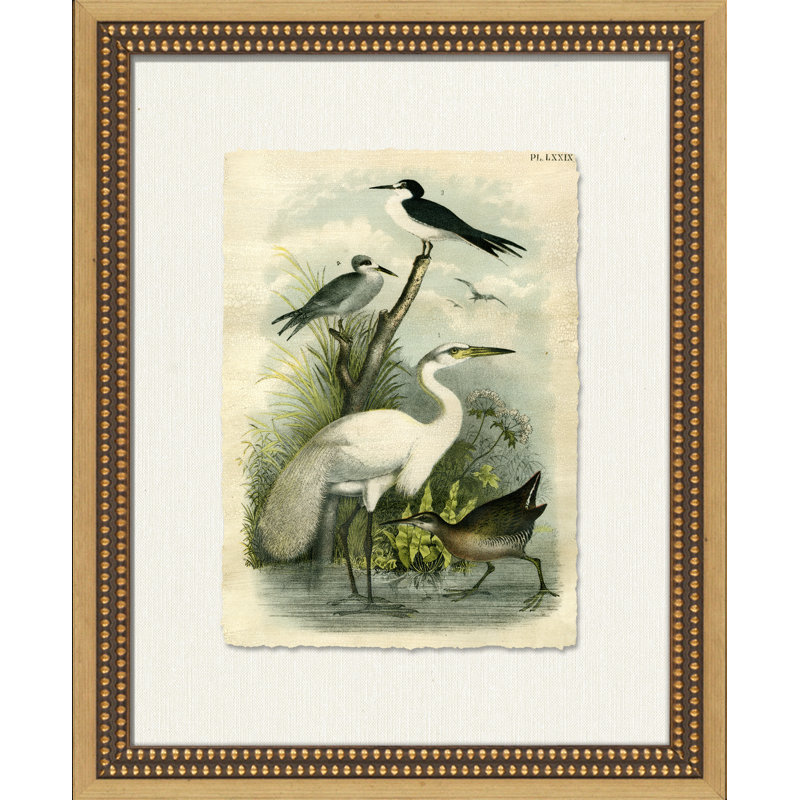 Crackled Marsh Birds I Painting