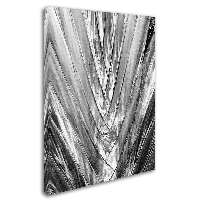 Mampre «Black and White Palm 4», reproduction de photo sur toile tendue, H 47 po x l 35 po