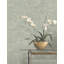 Papier peint cristal Crystal Sage-1778370808