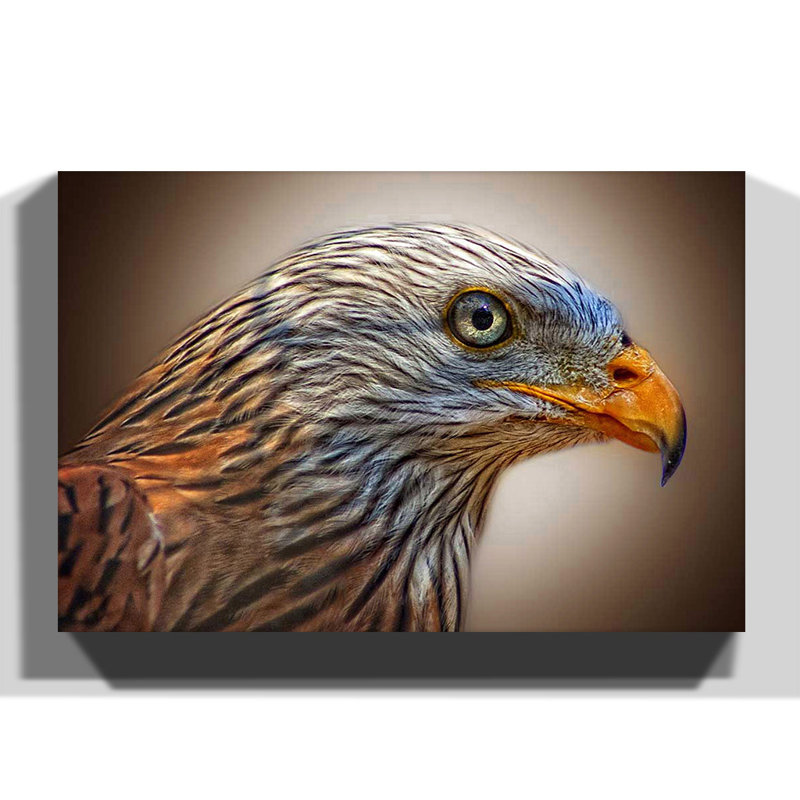 Bird Wrapped Canvas Print, 50cm H x 76cm W
