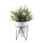 Eucalyptus artificiel 12 po en pot