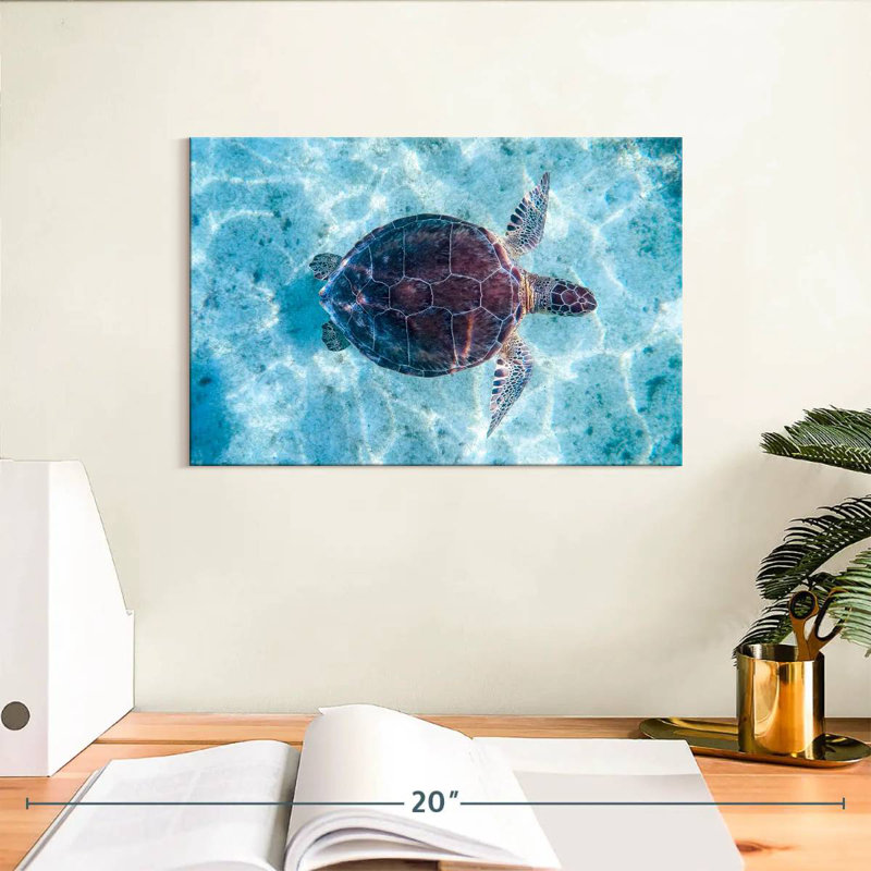 Brampt Turtle Swimming, 8" H x 12" W
