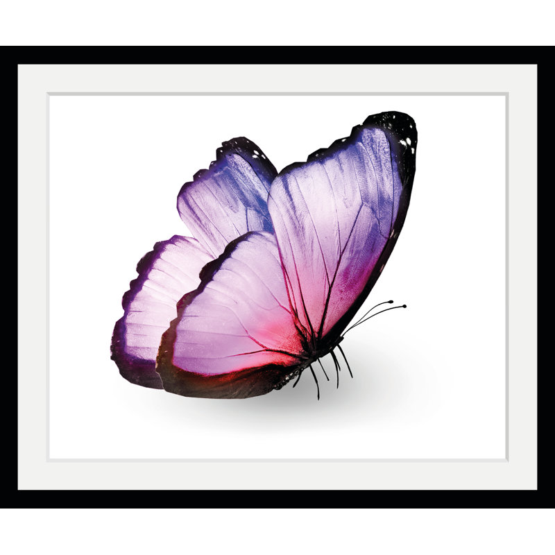 Butterfly - Single Picture Frame Print