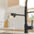 FLG Pull Down Kitchen Faucet-70133105