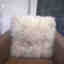 Customer photo 3 of 3