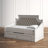 Yuliana Upholstered Daybed with Trundle