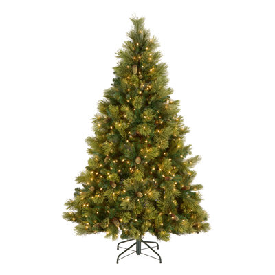  Carolina Pine Tree with Clear Lights