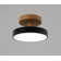 3 Colours Dimmable Modern Acrylic LED Ceiling Light