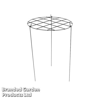 Fishel Metal Plant Support