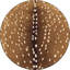 Tapis Gienn Gavyn-447585904