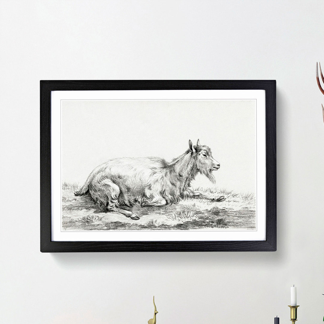 Resting Goat by Jean Bernard - Picture Frame Drawing Print