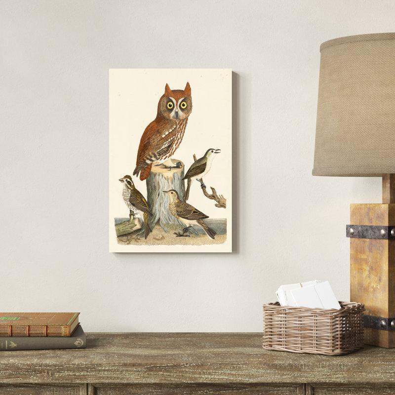 Wilson Owls II, H 18 po x l 12 po x P 1 po