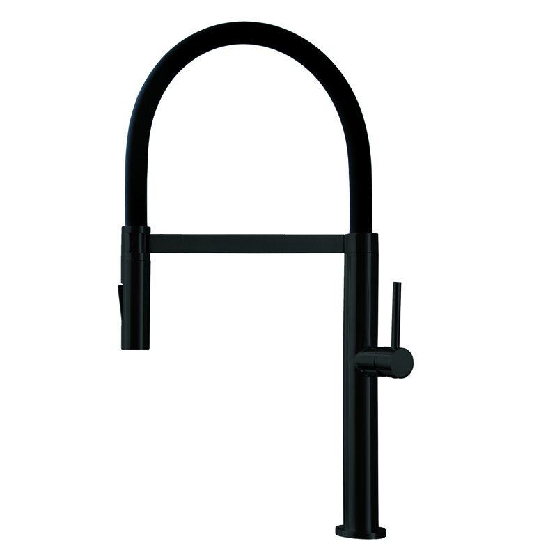 AGUA CANADA Miaggi Pull Down Kitchen Faucet, Matte Black