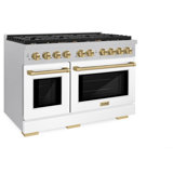 ZLINE Autograph 48 in. Paramount Dual Fuel Satin Steel Range w/ Accents