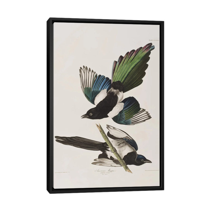 « american pie », reproduction d’impression sur toile, H 26 po x l 18 po x P 1,5 po, Toile avec cadre noir, Pas de tapis