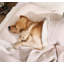 Muslin Cotton Quilt-1170423901-1170423900
