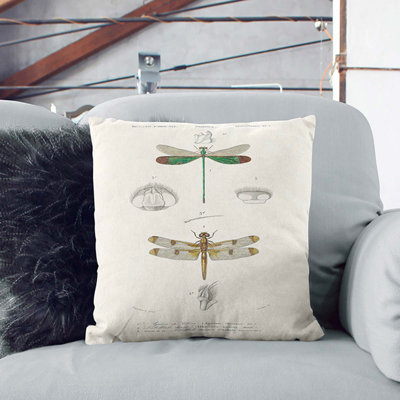 Dragonfly Illustrations PL. L Square Throw Cushion