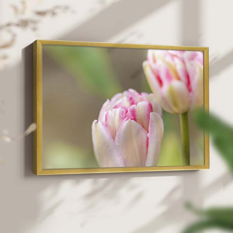 Rosé - impression encadrée - réversible, H 11 po x l 14 po