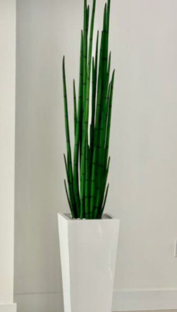 Faux Snake Plant (Sansevieria) Grass