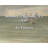Artsy Quote "Memory is dynamic, it’s alive." By Ari Folman Gallery Wrapped Canvas-792771414