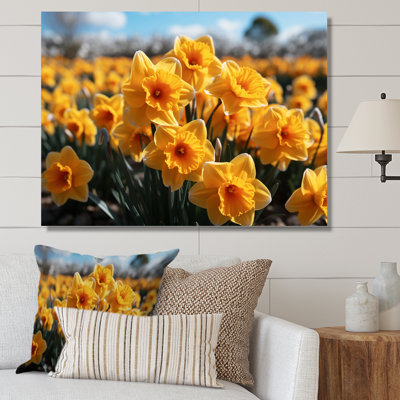 «Daffodils Field Yellow Vibrant I», reproduction sur toile