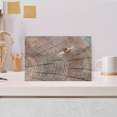 Annuel Annuel, art mural abstrait contemporain