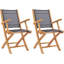 Madisen Outdoor Teak Dining Armchair