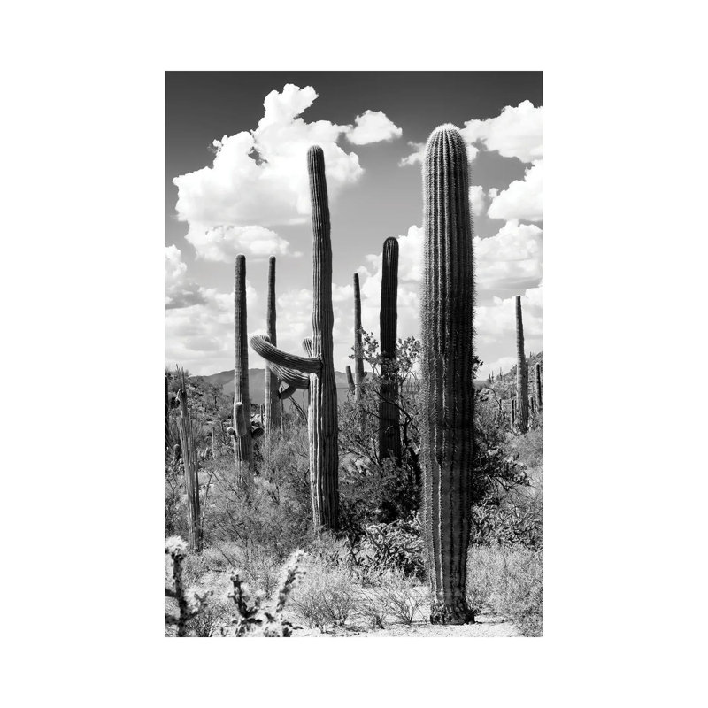 Série noire Arizona - Le Cactus-PHD1502, H 12 po x l 8 po x P 0,75 po