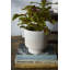Handmade Ceramic Pot Planter-1787762849
