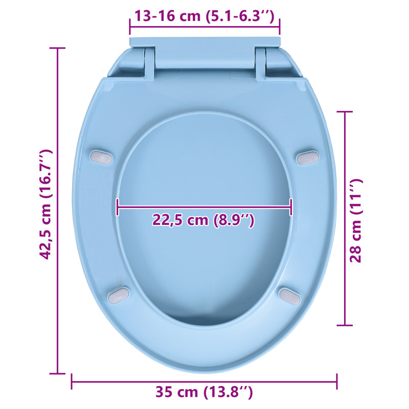 Crete Soft-Close Elongated Standard Toilet Seat, Blue