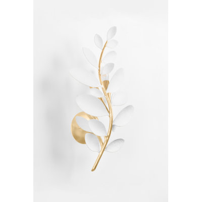 Marabec 3 Light Wall Sconce