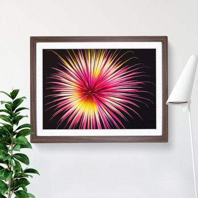 Firework Splash - Single Picture Frame Print